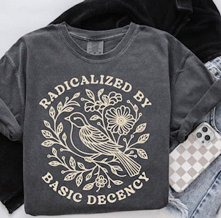 Radicalized By Basic Decency Shirt